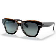 Ray-Ban 2186 132241