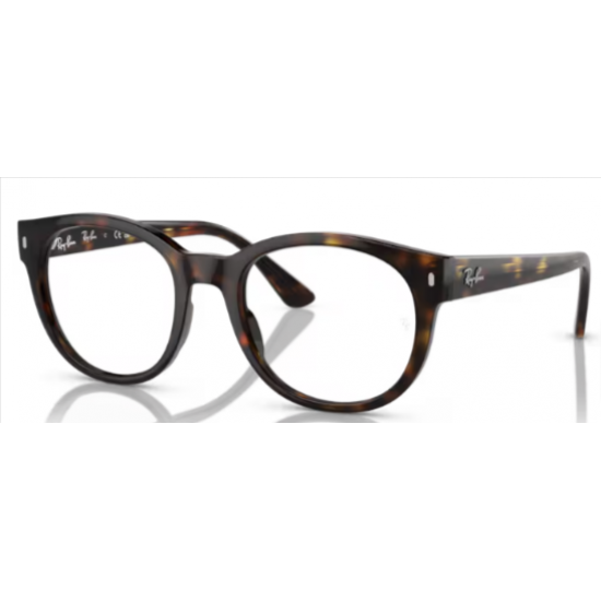 RAY-BAN 7227 2000 RAY-BAN 7227