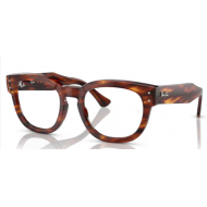 RAY -BAN 0298V 2144  Mega hawkeye