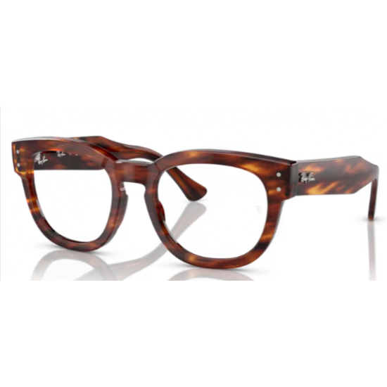 RAY -BAN 0298V 2144  Mega hawkeye