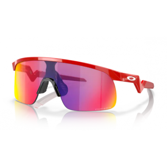 OAKLEY RESISTOR 9010 02