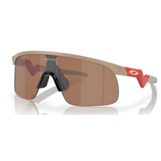 OAKLEY RESISTOR 9010-17