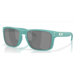 Oakley Holbrook  9102AF