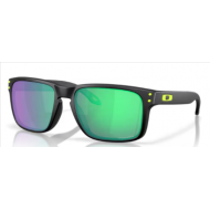 Oakley Holbrook  9102AI