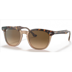 RAY-BAN SOL 2298 HAWKEYE  1292M2