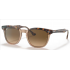 RAY-BAN SOL 2298 HAWKEYE  1292M2