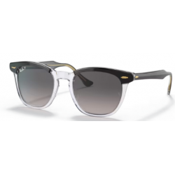 RAY-BAN SOL 2298 HAWKEYE 1294M3