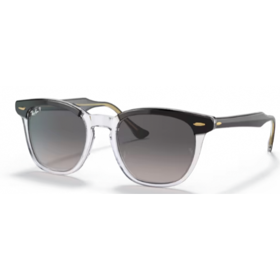 RAY-BAN SOL 2298 HAWKEYE 1294M3