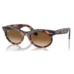 RAY- BAN 2242 133451