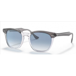 RAY-BAN SOL 2298 HAWKEYE13553F