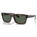 4396 RAY-BAN  Warren