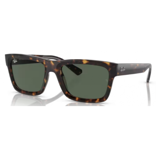 4396 RAY-BAN  Warren 135971