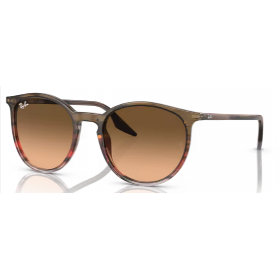 RAY-BAN 2204 13953B 