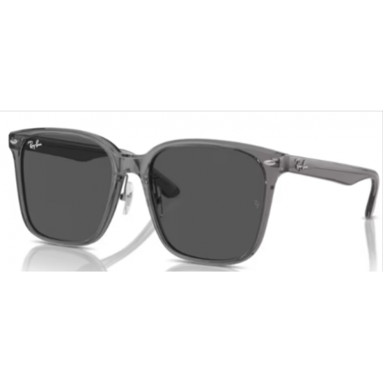 2206 RAY-BAN  139987