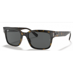 Ray-Ban 2190 1292B1