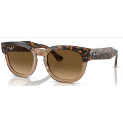 RAY-BAN 0298S  1292M2