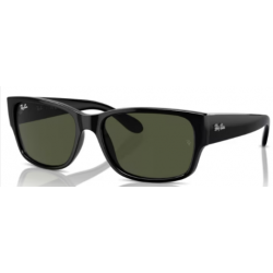 RAY-BAN SOL 4388 60131