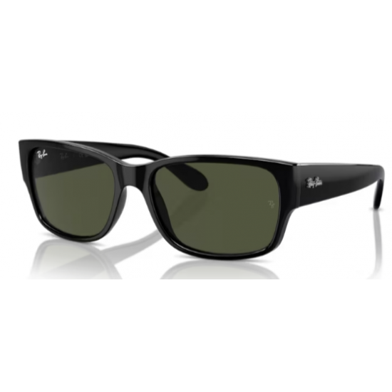 RAY-BAN SOL 4388 71051 0RB4388  RAY-BAN