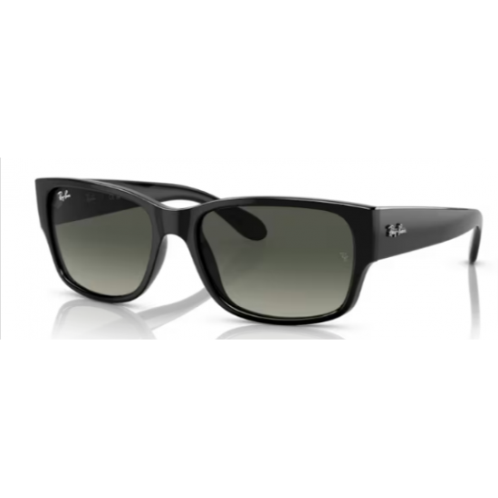 RAY-BAN SOL 4388 60171