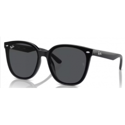 RAY-BAN SOL 4423  601/87