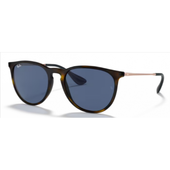 Ray-Ban Erika 4171639080 4171 Erika 