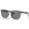 4260D RAY-BAN 