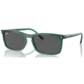 4435 RAY-BAN  