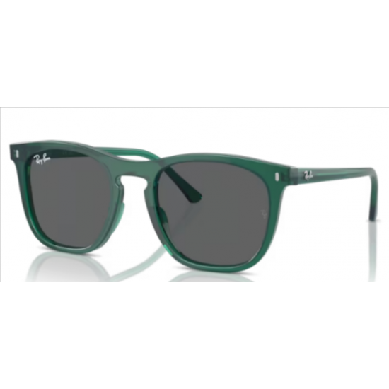 RAY-BAN 0RB2210 6615B1