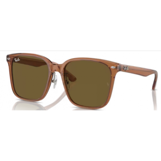 2206 RAY-BAN 663673