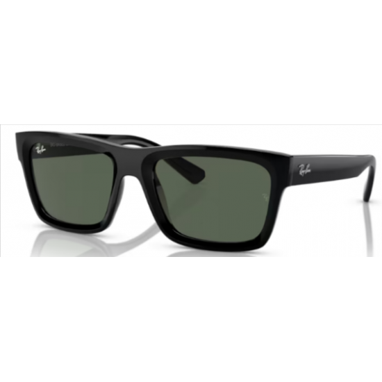 4396 RAY-BAN  Warren 667771