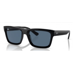 4396 RAY-BAN  Warren 667780