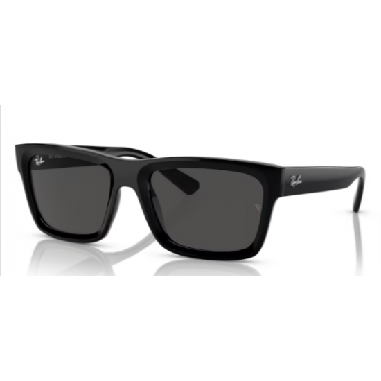 4396 RAY-BAN  Warren 667787