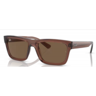 4396 RAY-BAN  Warren 667873