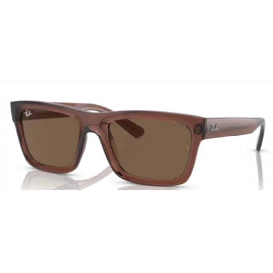 4396 RAY-BAN  Warren 667873