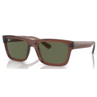 4396 RAY-BAN  Warren 66789A