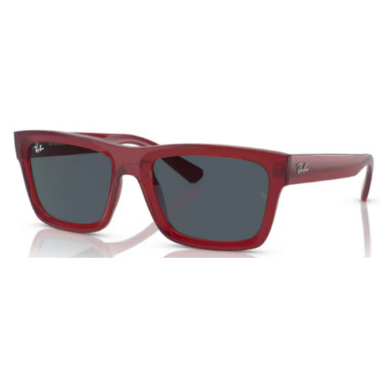 4396 RAY-BAN  Warren 667987