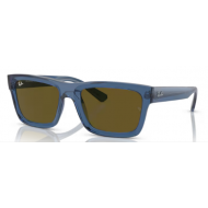 4396 RAY-BAN  Warren 668073