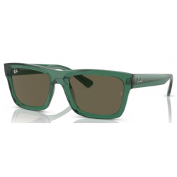 4396 RAY-BAN  Warren 66813