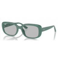 RAY-BAN SOL 4421 676287