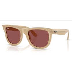 RAY-BAN 0502S  678069