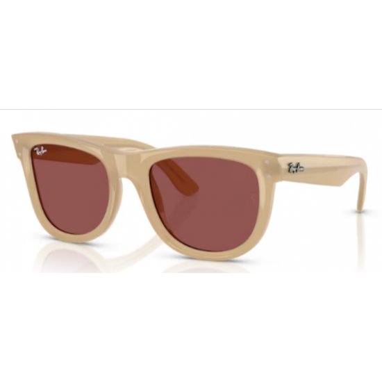 RAY-BAN 0502S  678069