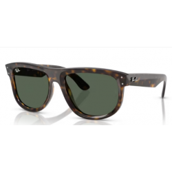 Ray-Ban 0501 6790VR 