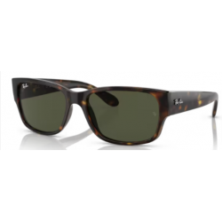 RAY-BAN SOL 4388 71031