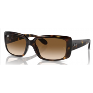 RAY-BAN  4389 710/51