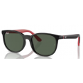 RayBan Junior  9079