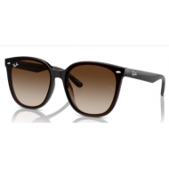 RAY-BAN SOL 4423  71413