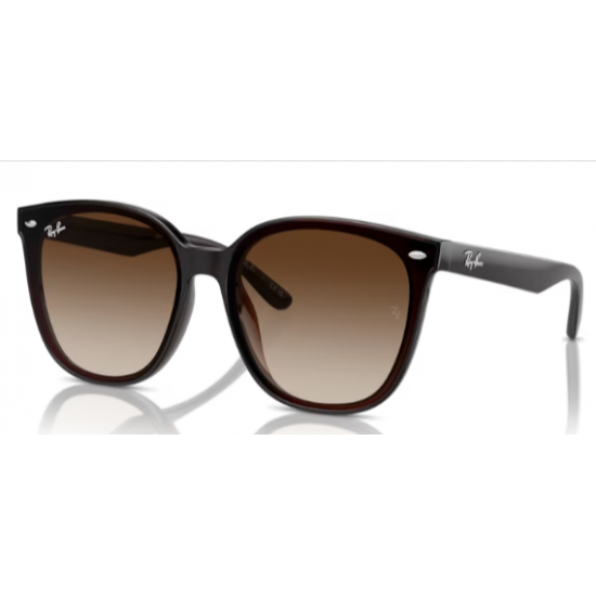 RAY-BAN SOL 4423 71413