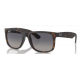 Ray-Ban 4165   865/8S