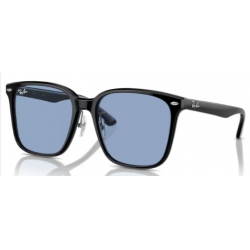 2206 RAY-BAN 90172