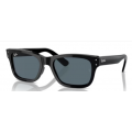 2283 RAY-BAN Mr burbank